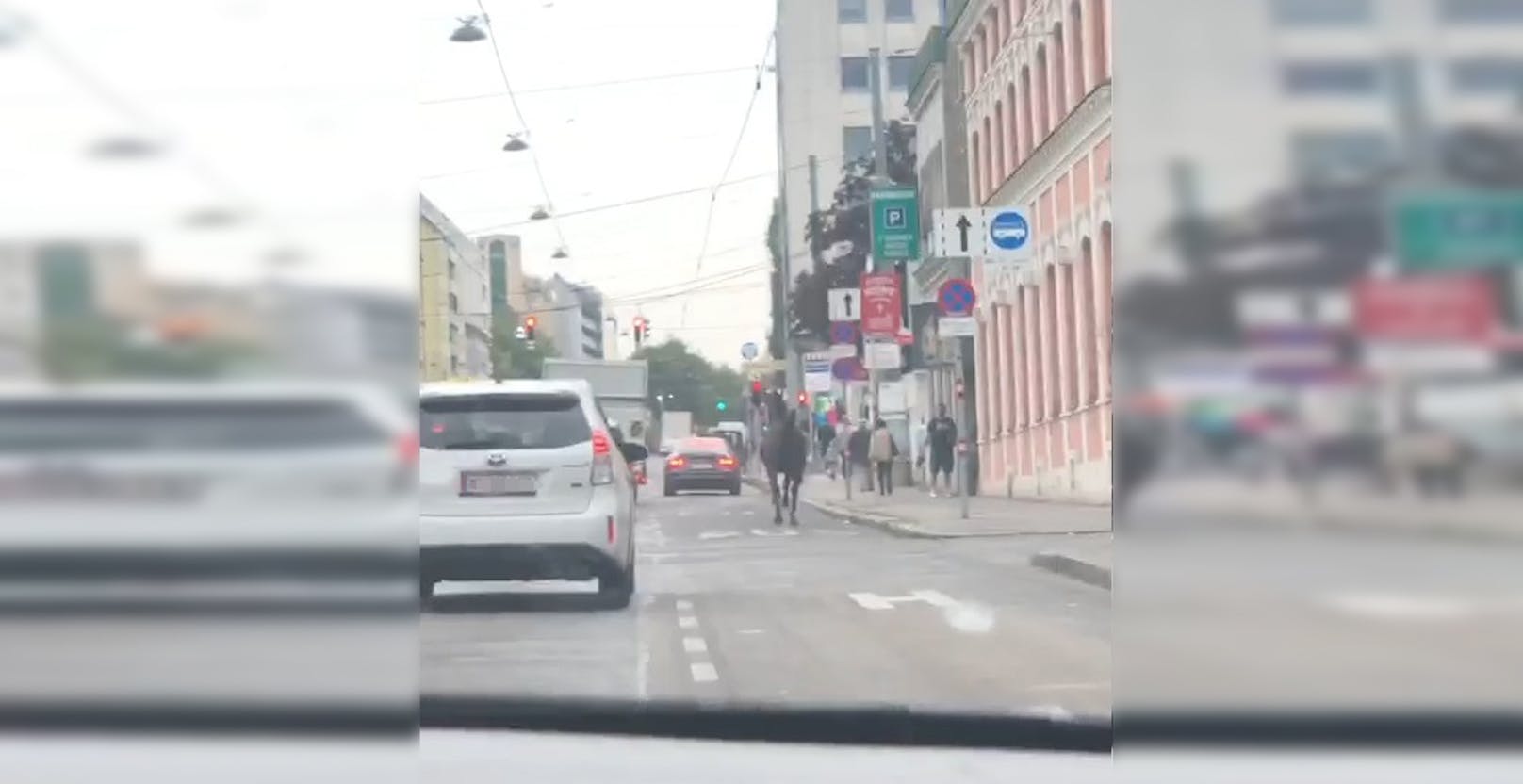 Pferd in Wien ausgebüxt