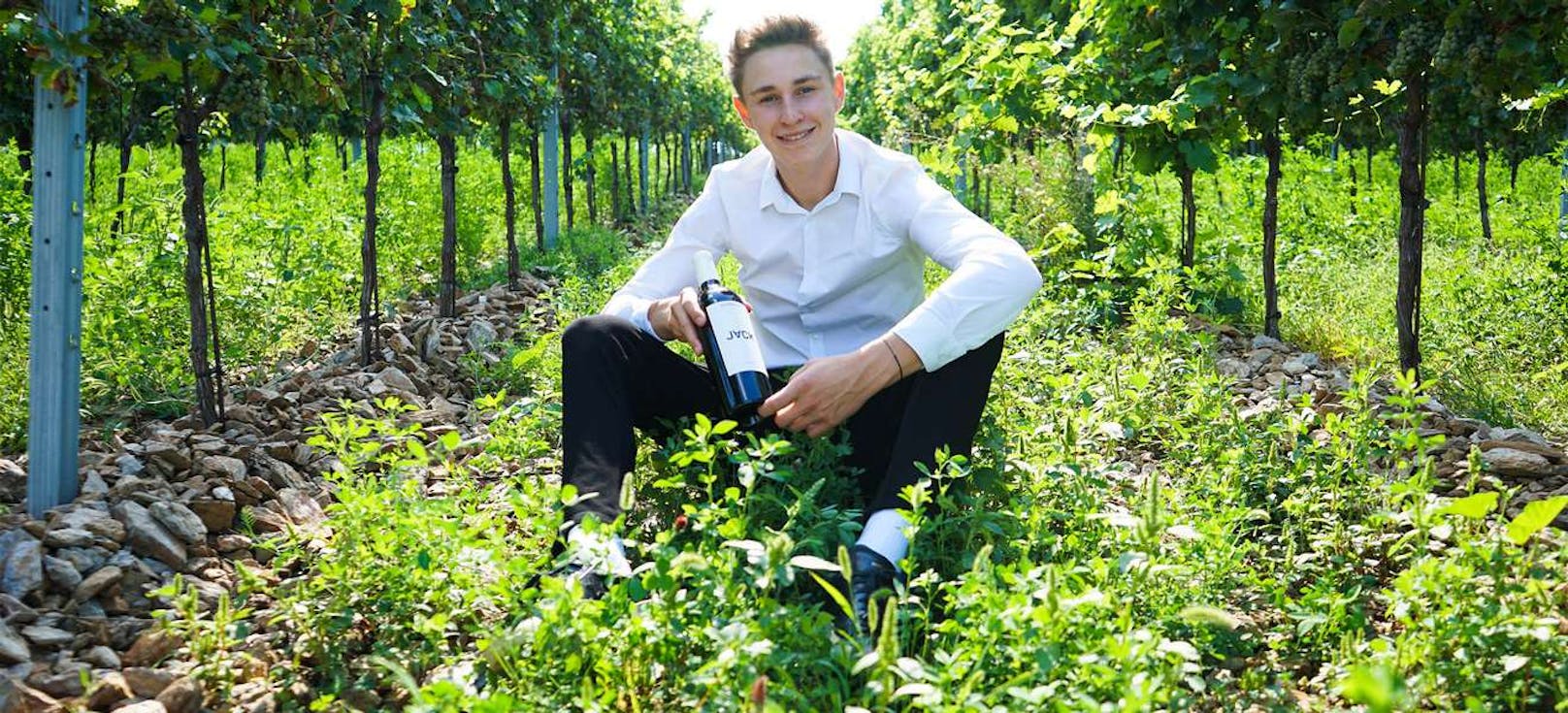 Leo Hillingers Sohn macht eigenen Wein