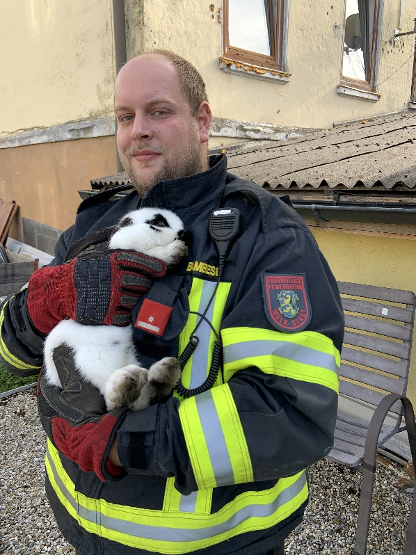 Einer der Hasen in sicheren Händen.
