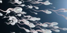 Männer mit diesen Jobs haben mehr Spermien als andere