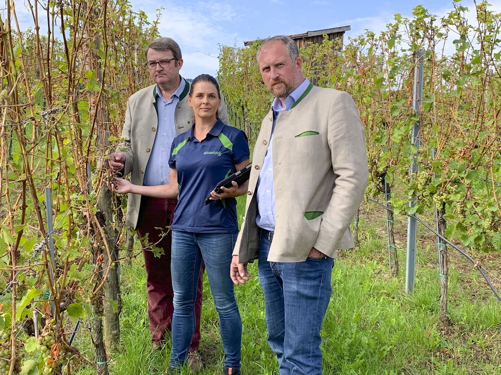 Josef Kaltenböck (ÖHV-Landesleiter NÖ-Ost), Heidi Maier (ÖHV-Sachverständige) und Winzer Johann Donabaum in der Wachau.