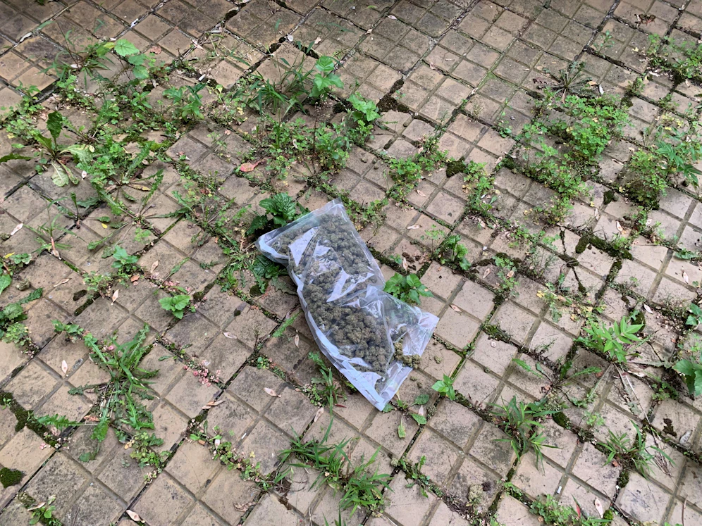Die Polizei konnte die Männer festnehmen.