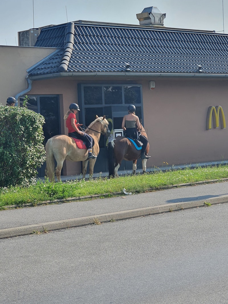 Ob das erlaubt ist, ist nicht bekannt.