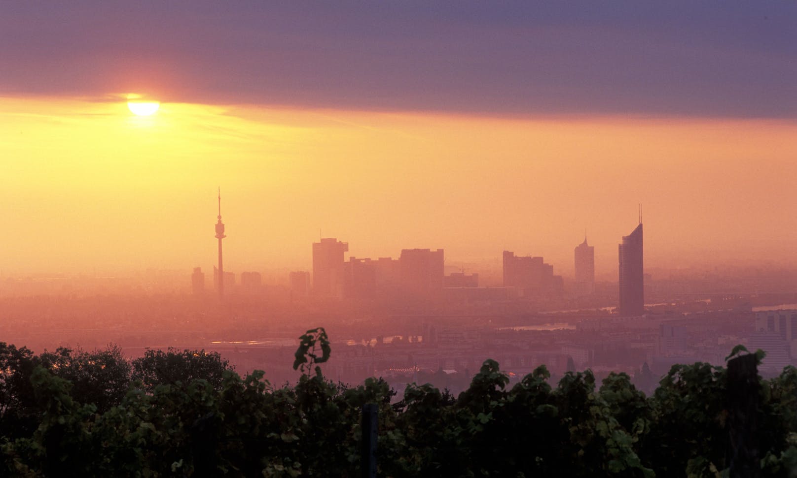 Sonnenaufgang-Sicht auf Wien vom Cobenzl