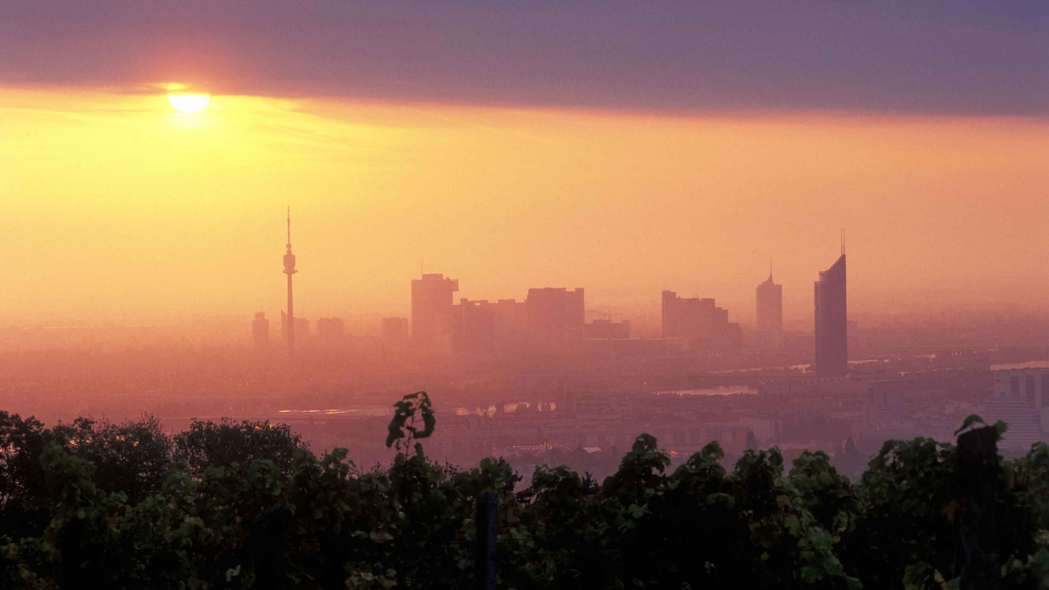Sonnenaufgang-Sicht auf Wien vom Cobenzl