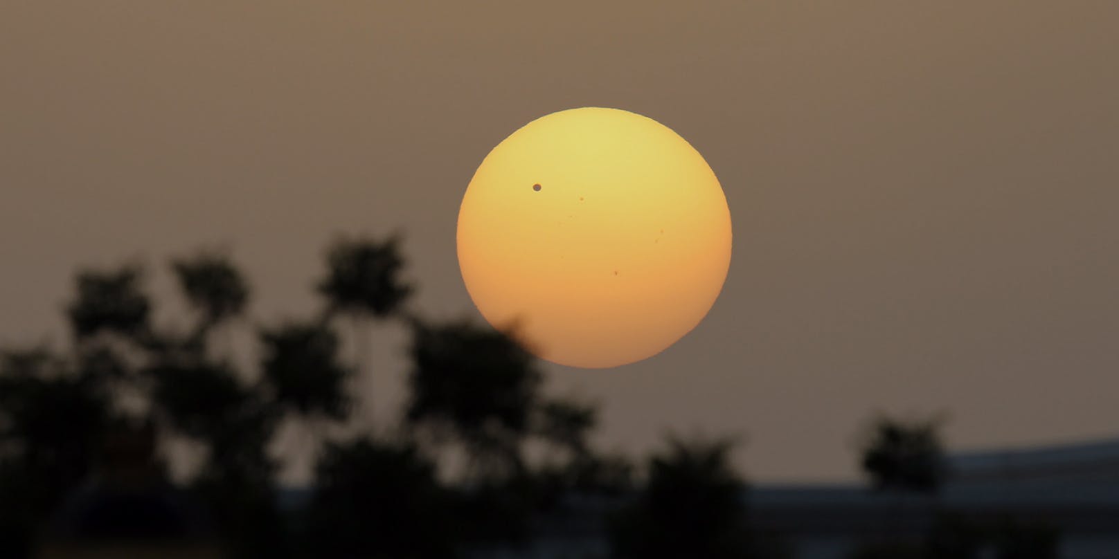 Der kleine, schwarze Punkt: Die Venus, wenn sie an der Sonne vorbeizieht