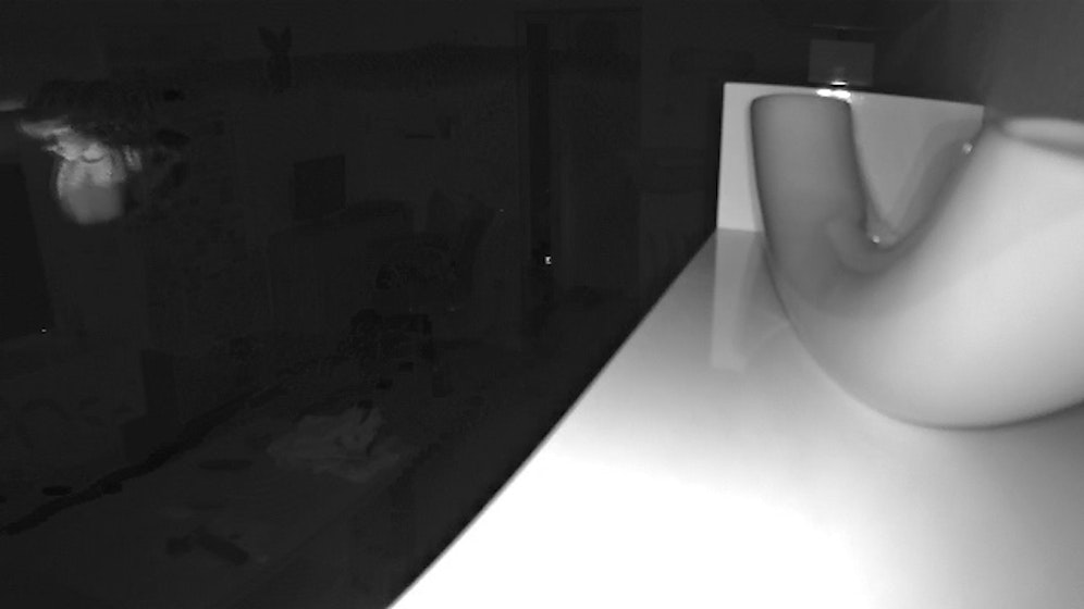 Links oben in der Ecke ist eine weibliche Gestalt erkennbar.