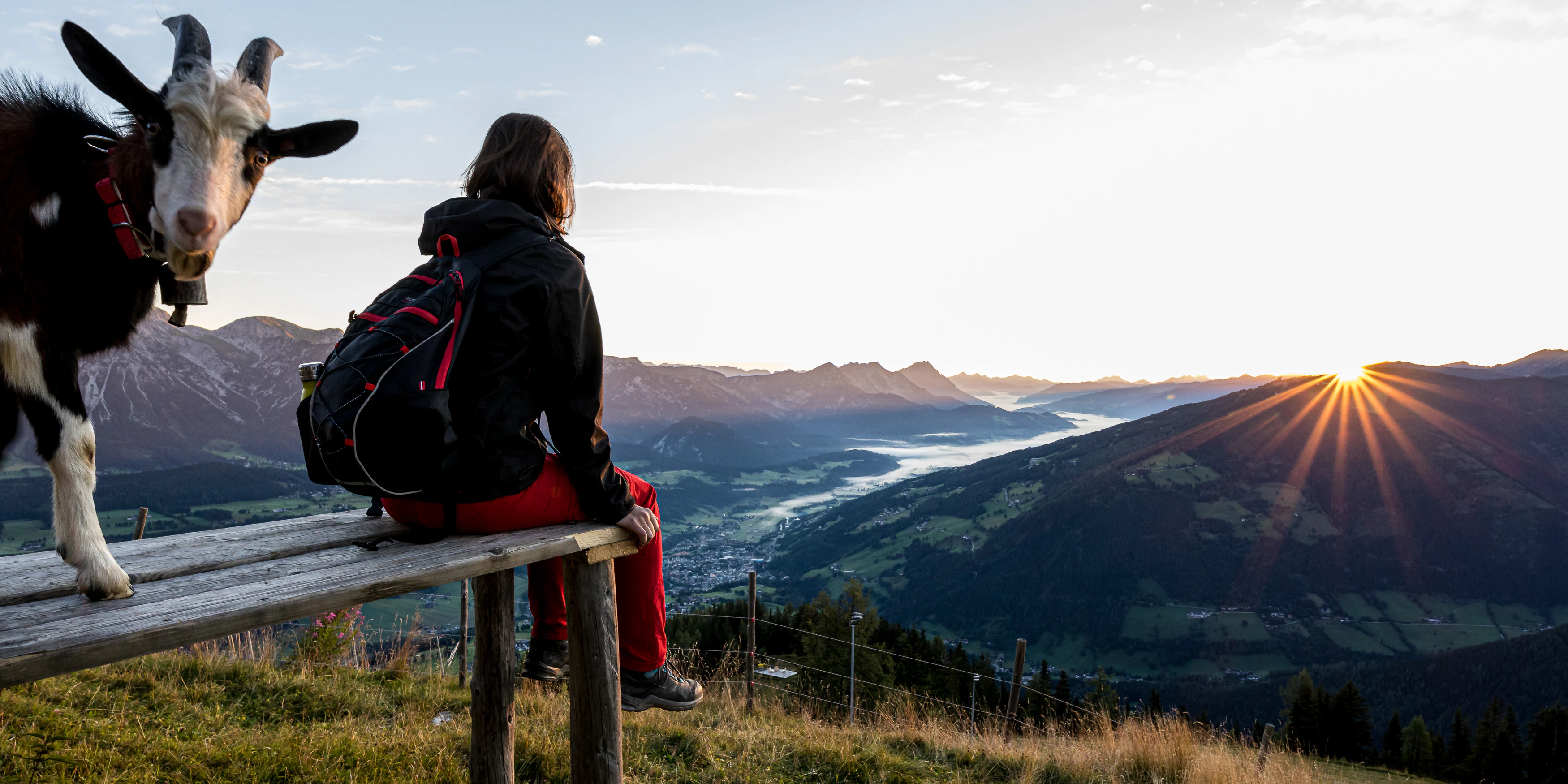 Den Sonnenaufgang auf der Hochwurzen genießen auch Ziegenböcke 