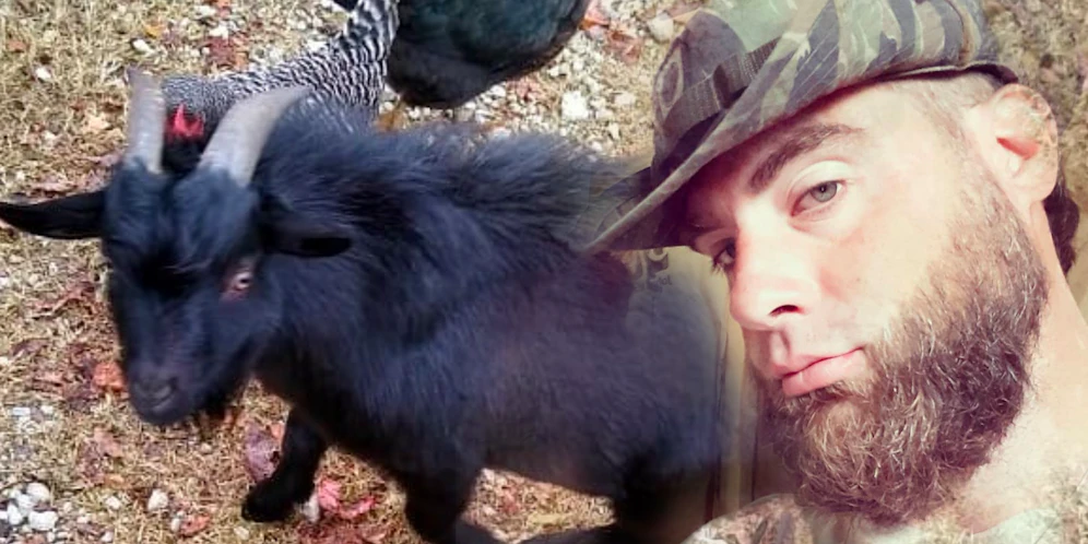 David Eason hat seine Ziege gegessen, den Fans gefällt's nicht