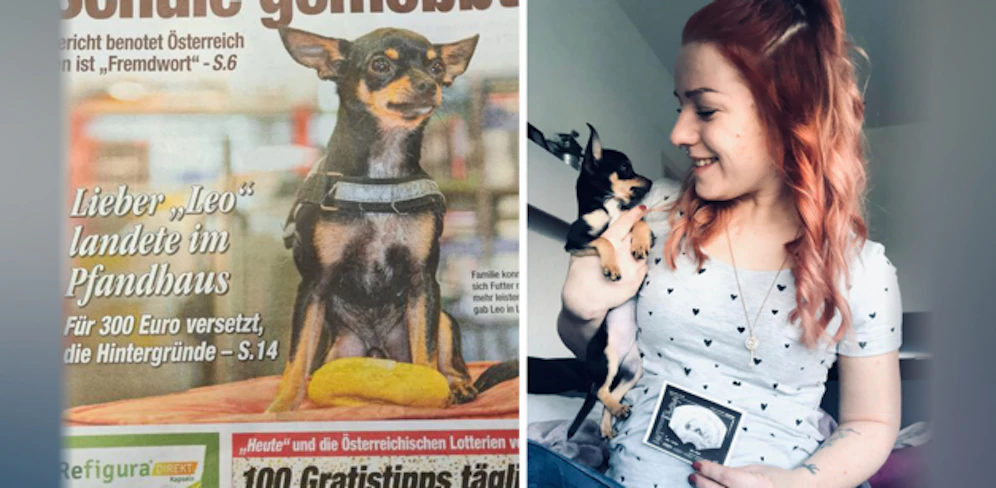 Besitzerin Jana S. (25) stellt richtig: 