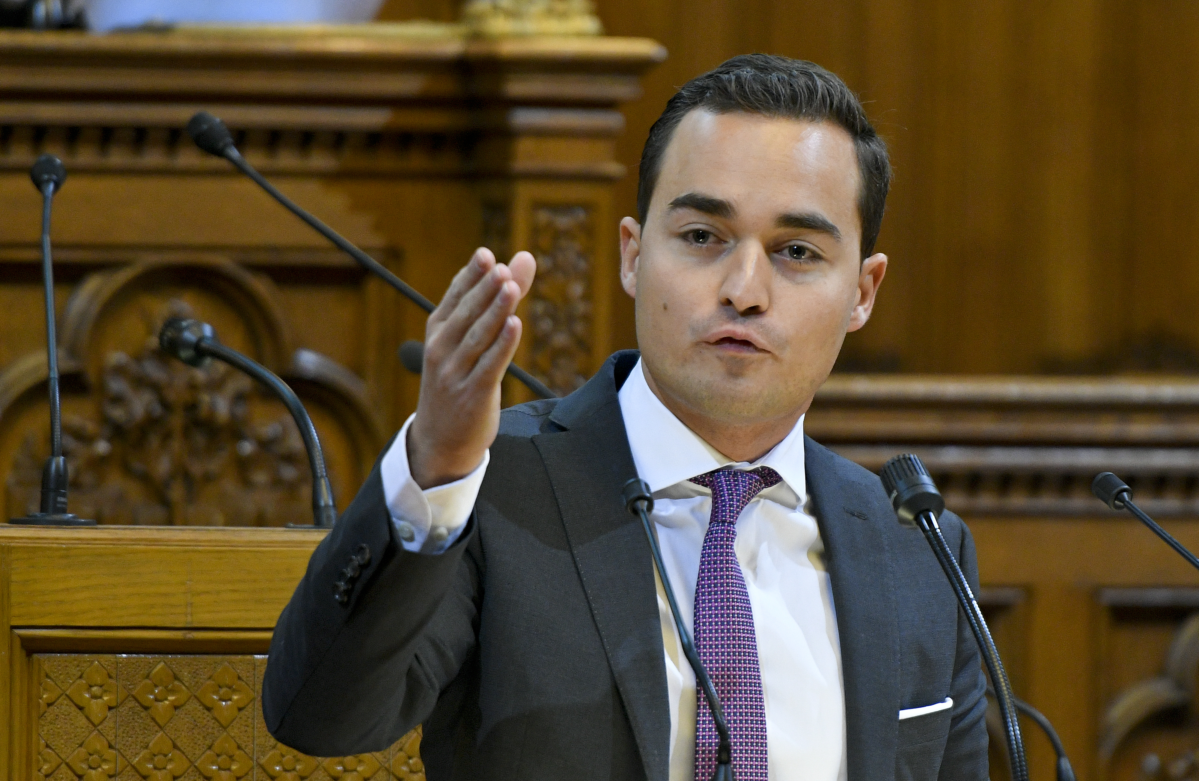 Maximilian Krauss (FP)