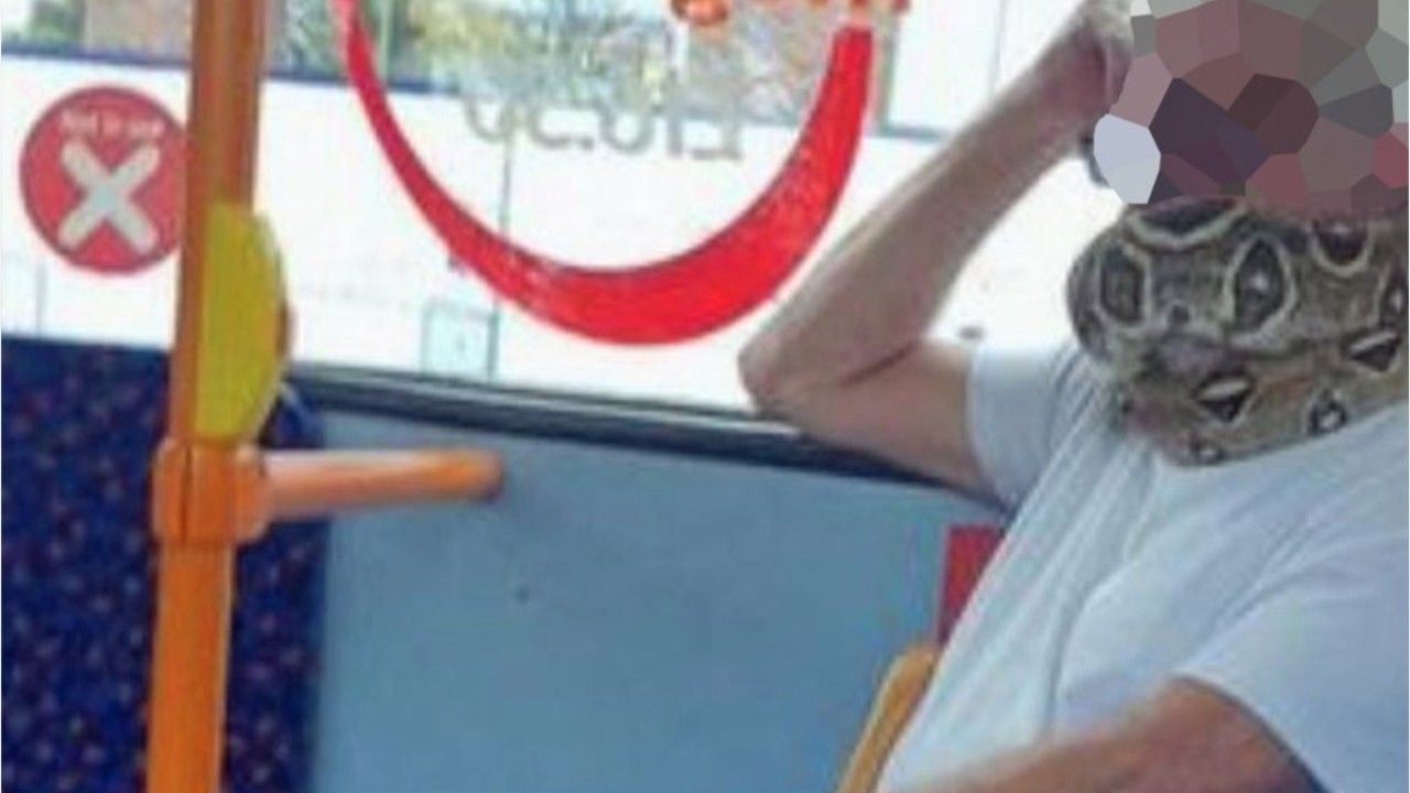 Nein, dieser Mundschutz ist nicht im modischen Animal-Print, es ist tatsächlich eine Schlange.