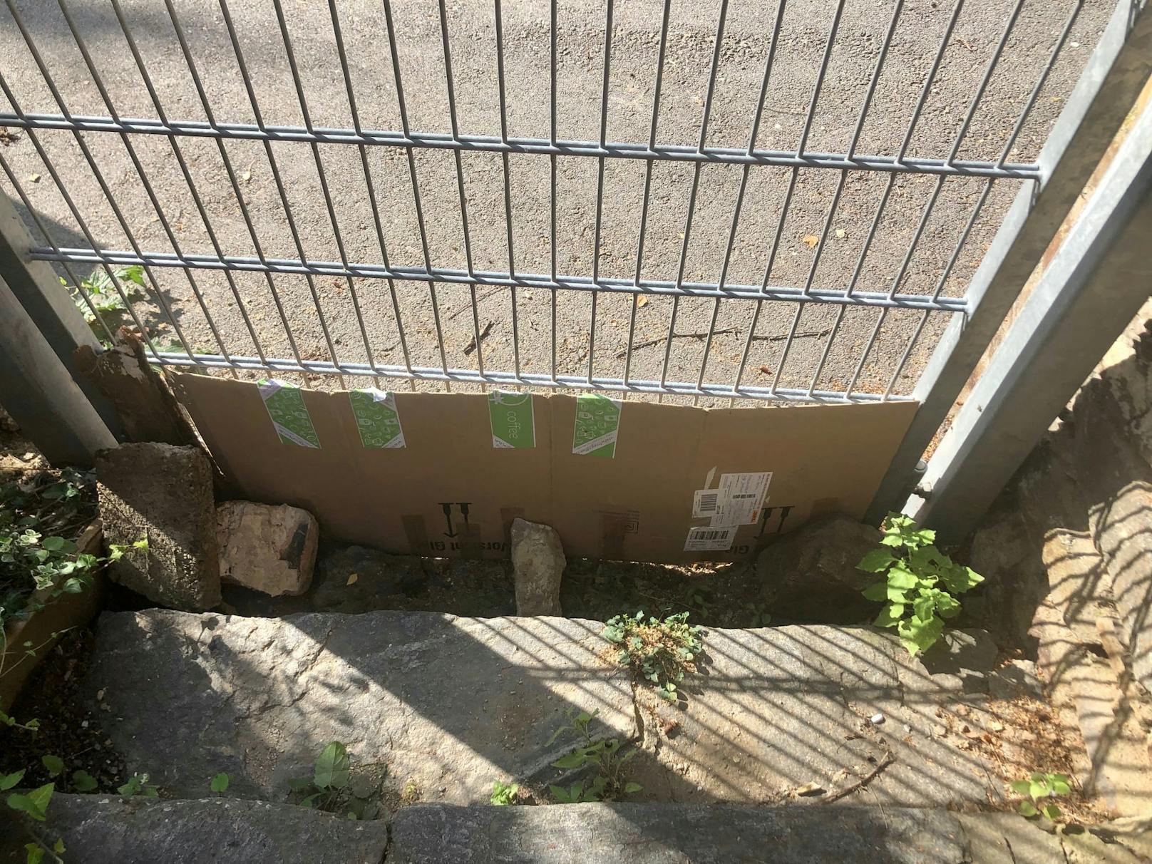 Der Zaun wurde mit einem Karton zugemacht, damit der Igel nicht mehr stecken bleiben kann.