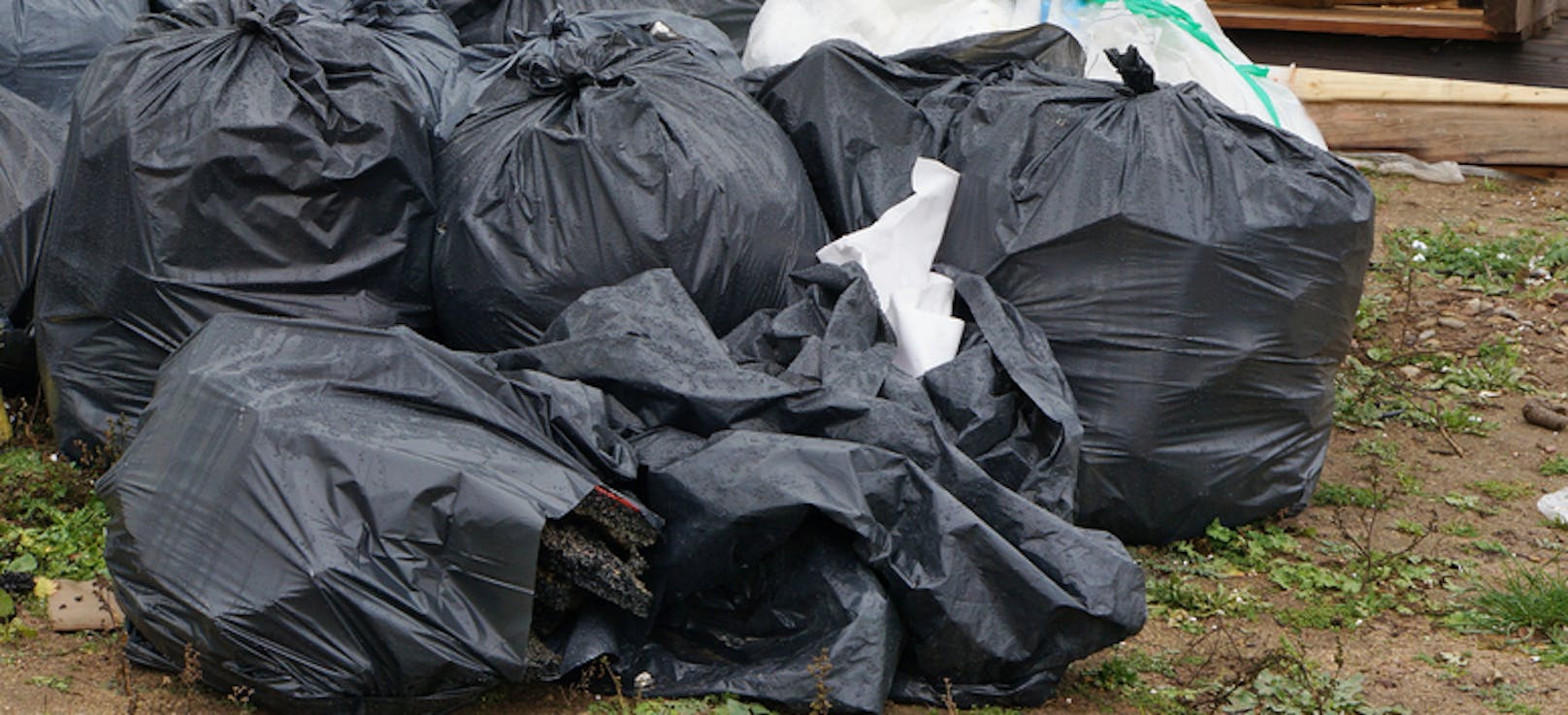 Ein junger Mann entsorgte neun große Müllsäcke einfach in einem Feld. (Symbolfoto)
