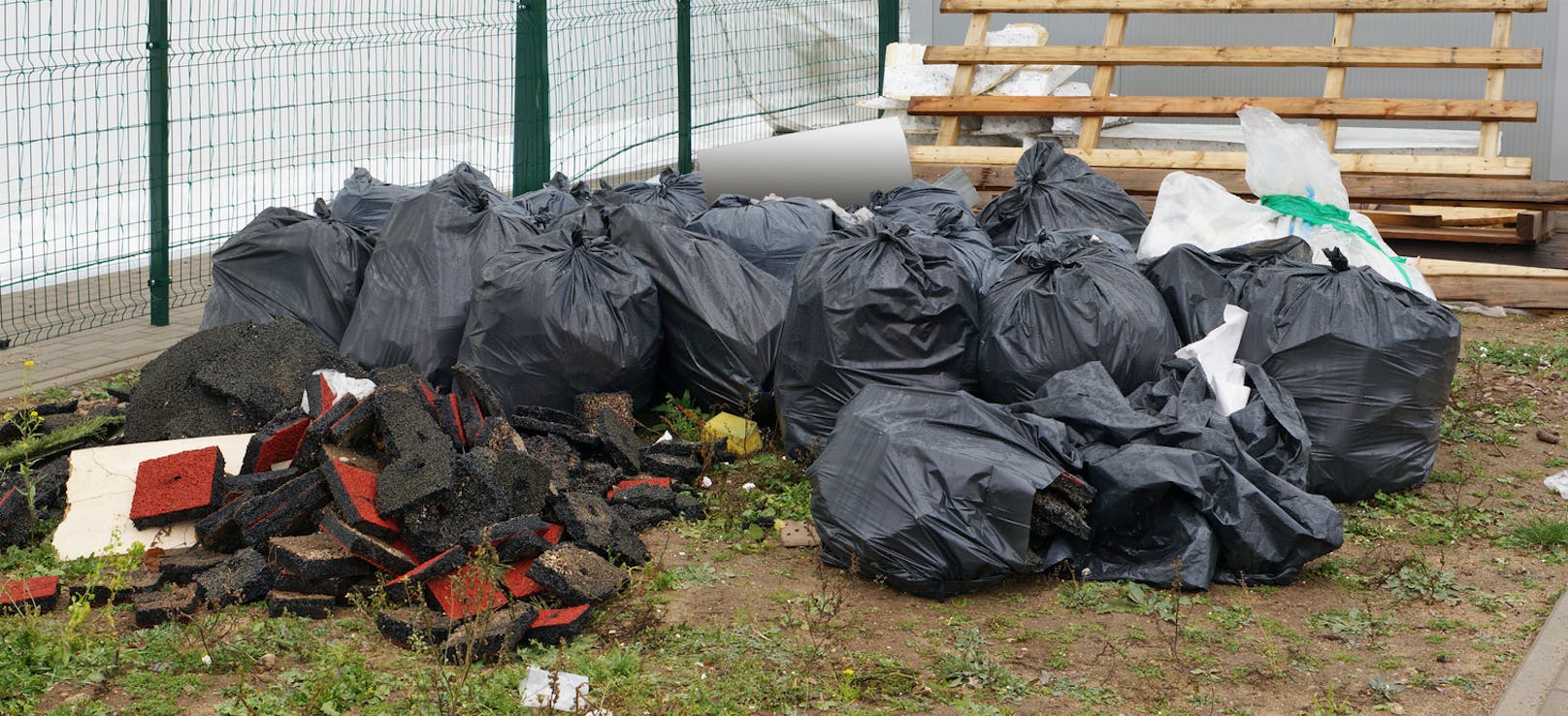 Bursch wirft nach Party neun Müllsäcke in Maisfeld
