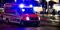 Teenie-Duo bei Pyro-Unfall in Wien schwer verletzt