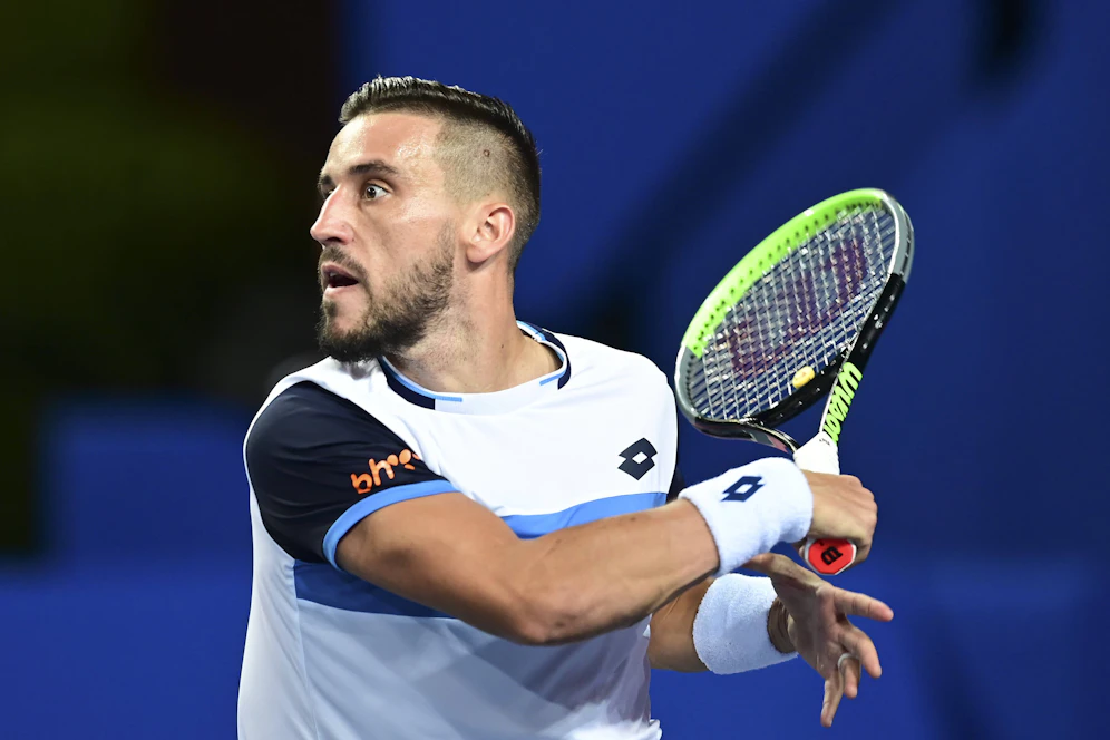 Damir Dzumhur