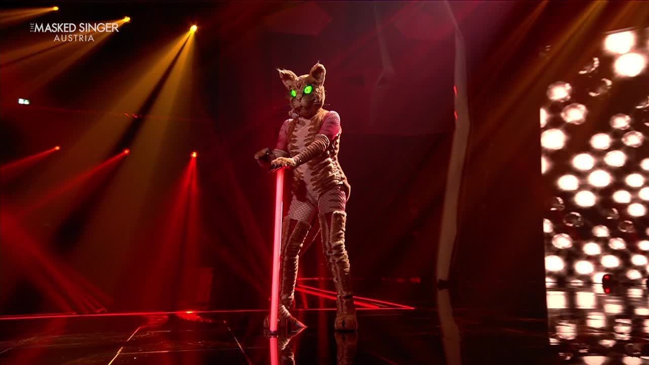 Heute.at - Katze nimmt die Maske ab - und keiner weiß, wer sie ist