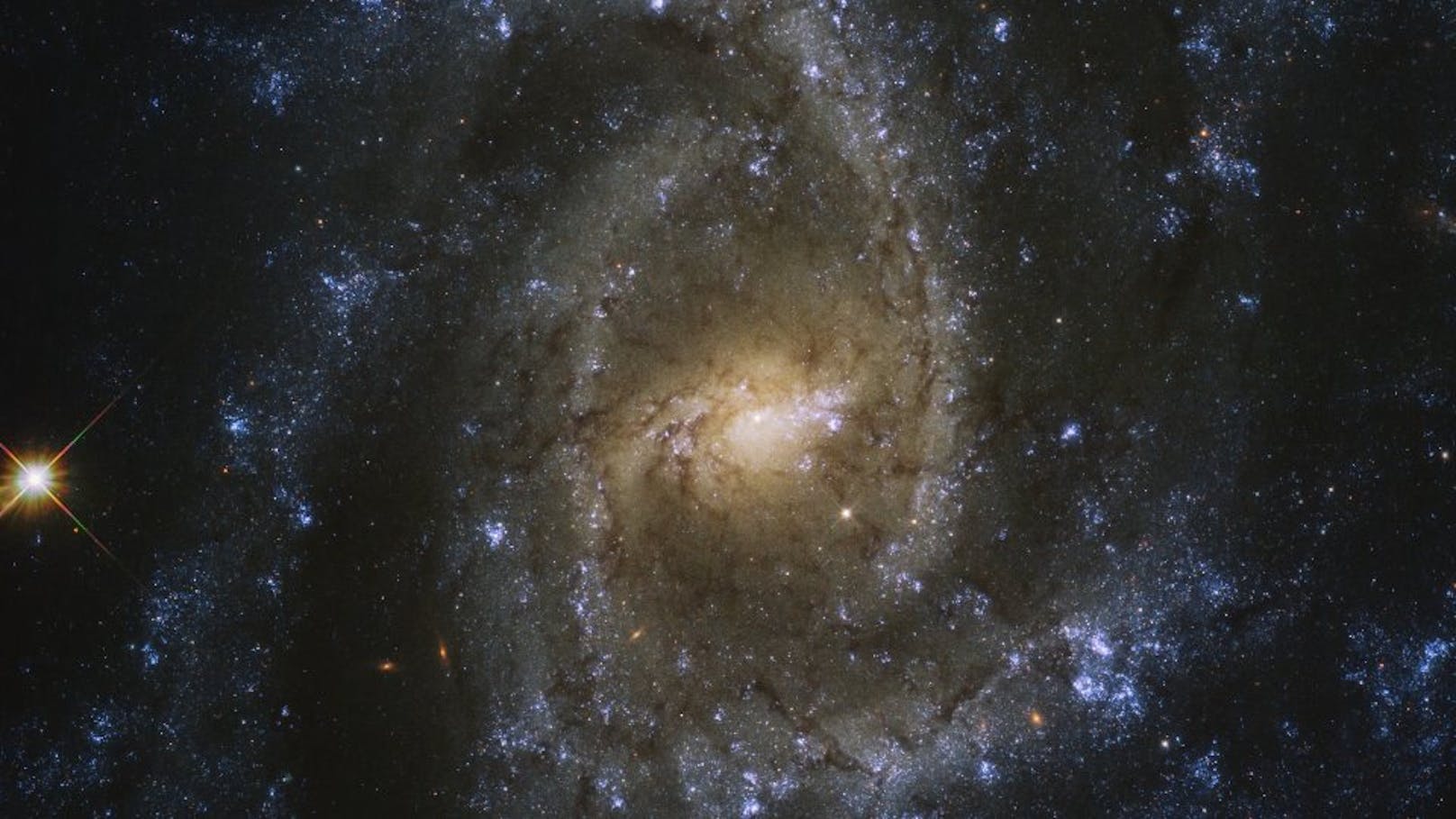 Das Bild der Galaxie NGC 2835, auch „Auge der Schlange“ genannt, wurde mit dem Hubble-Weltraumteleskop aufgenommen und am 14. September 2020 veröffentlicht.