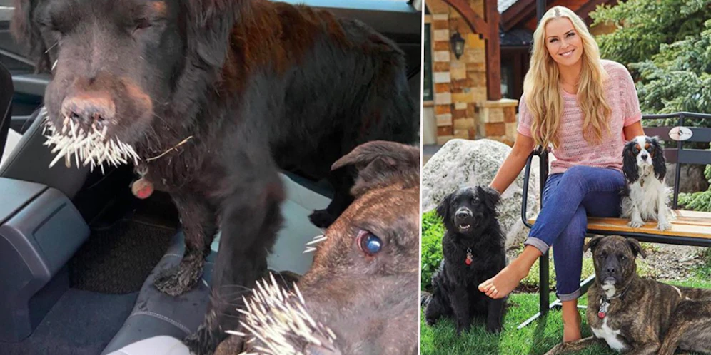 Lindsey Vonn mit ihren Hunden