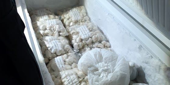 Kühltruhe mit Unmengen an Teigtascherln