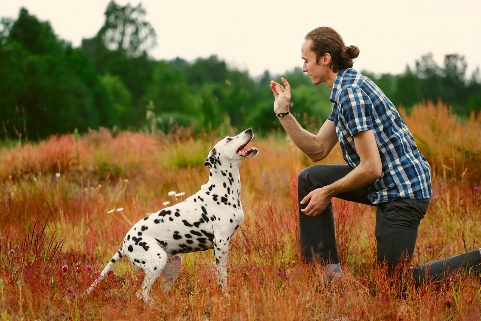 2. Wort und Geste müssen übereinstimmen: Hunde deuten unser Minenspiel, Körpersprache und Betonung der Worte – und erkennen jeden möglichen Widerspruch. 