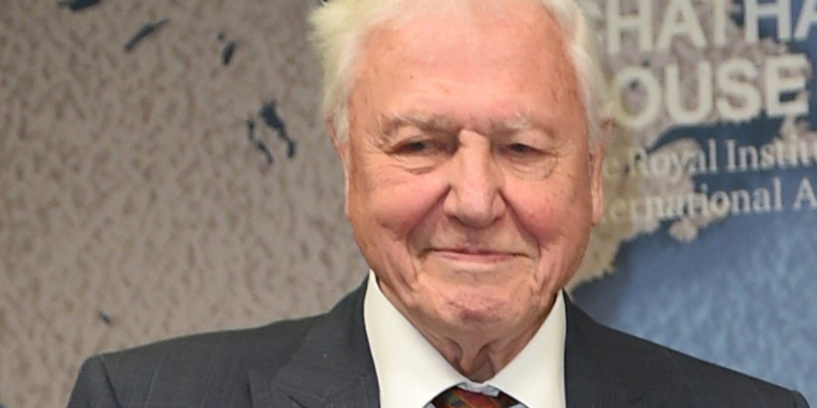 Bei dem 94-Jährigen handelt es sich nicht um irgendwen: Sir David Attenborough