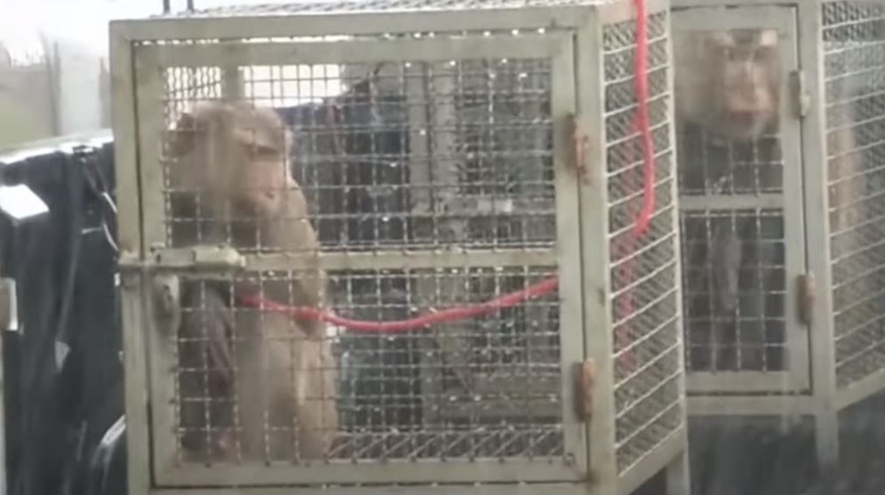 Es sind Bilder, die betroffen machen.