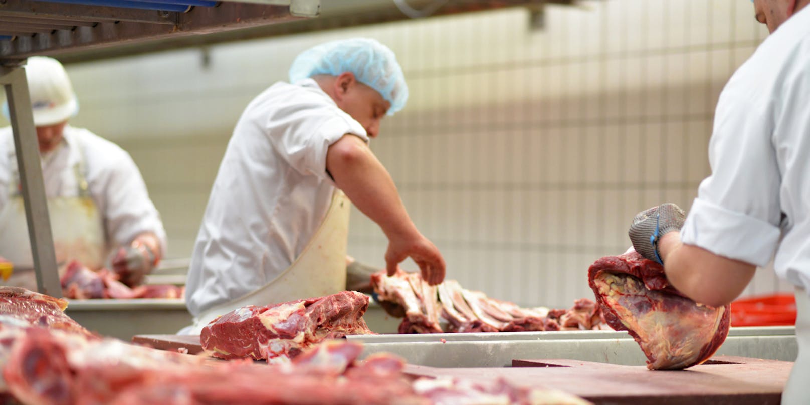 In einem Fleischbetrieb in Linz-Land gibt es 20 Infizierte.