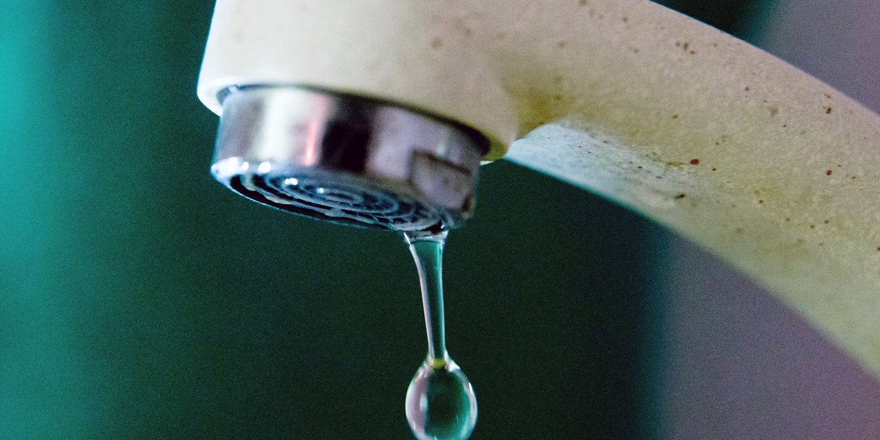 Heute.at - Behörden warnen vor hirnfressender Amöbe im Wasser