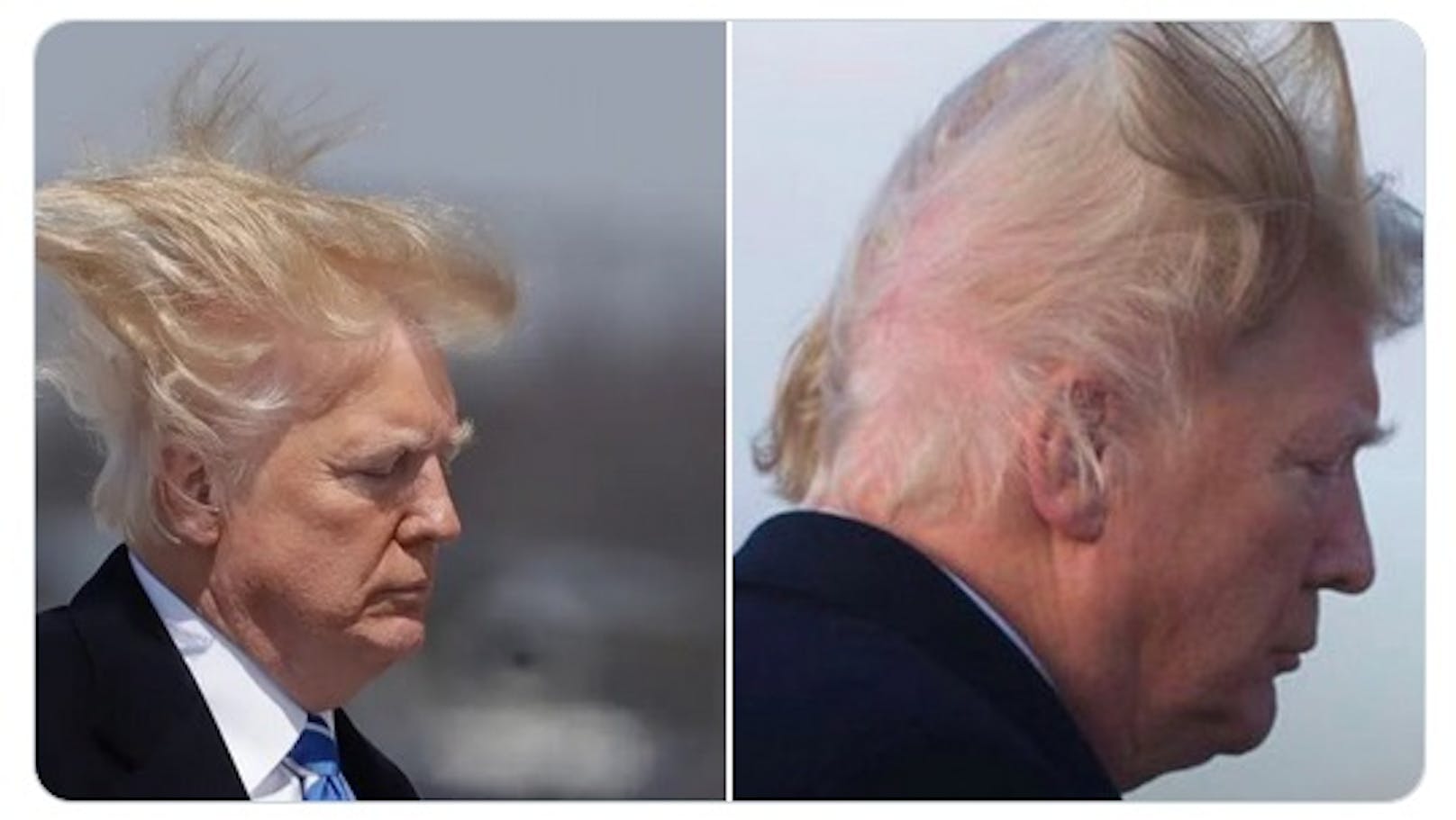 "Trump zahlt 70.000$, damit seine Haare so aussehen?"