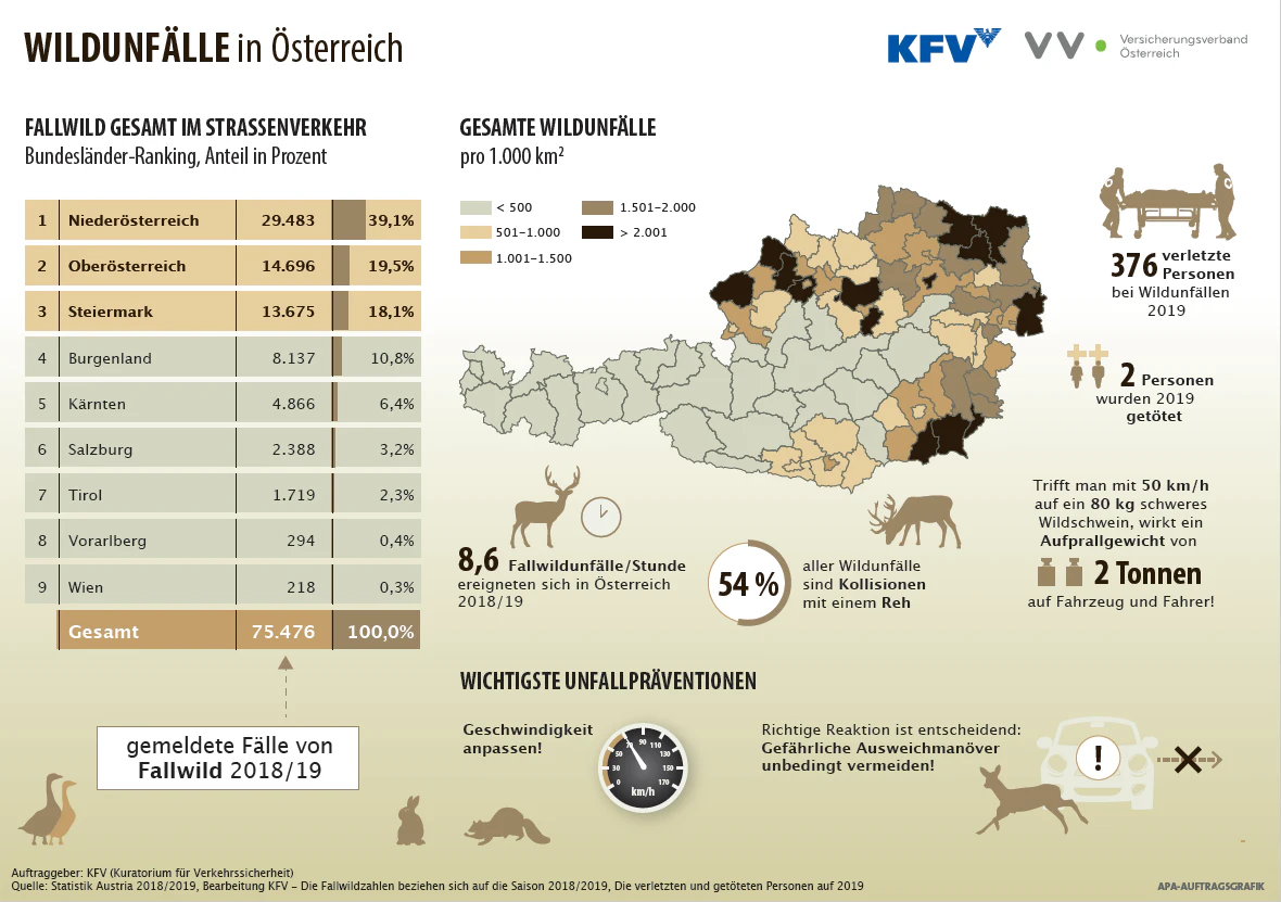 Die Zahlen bildlich dargestellt.