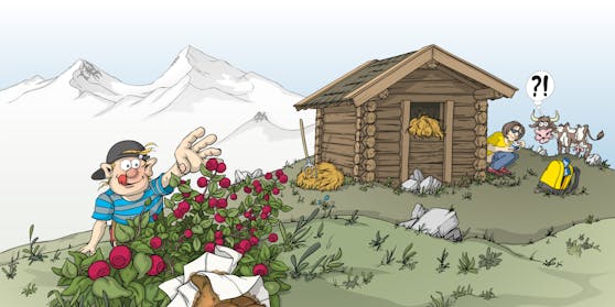 Alpenverein startet Kampagne rund um Toilettengang am Berg