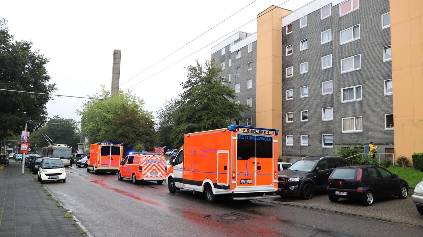 Fünf tote Kinder in Solingen gefunden