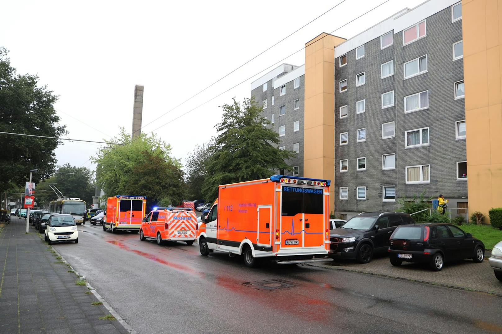 Die Polizei hat in Solingen im deutschen Bundesland Nordrhein-Westfalen fünf tote Kinder gefunden.