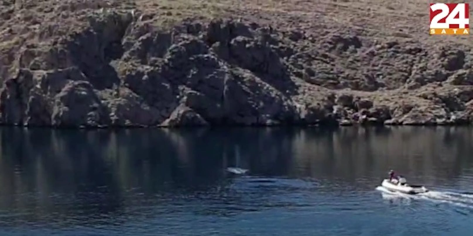 Personen auf dem zwölf Meter langen Motorboot feuerten Schüsse auf den Wal ab. Der Vorfall wurde von dem Leser auf Video festgehalten.<br>