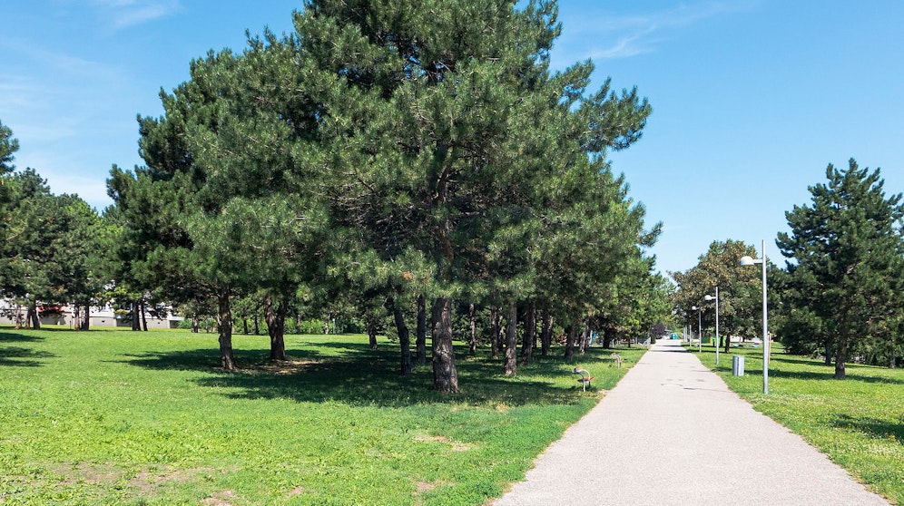 Der junge Frau wurde im Fridtjof Nansen Park vergewaltigt.