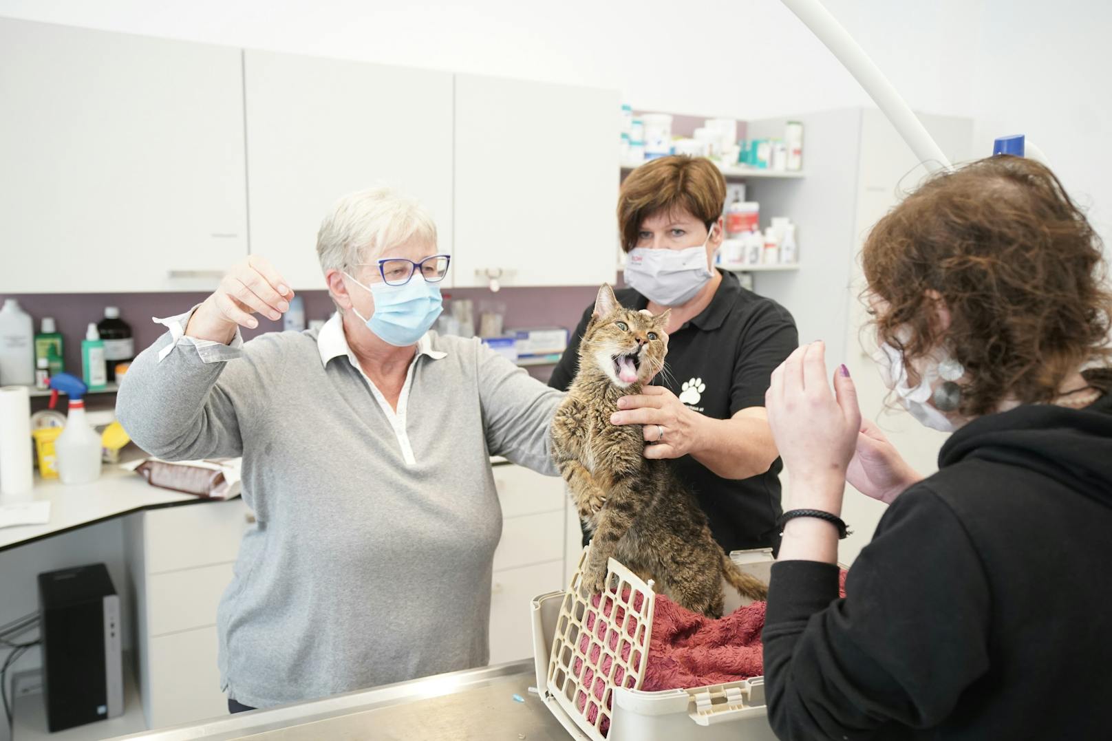 Tierärztin Marina Prieschl (53) und Helferin Marianne (70) kümmern sich heute liebevoll um die Tiere