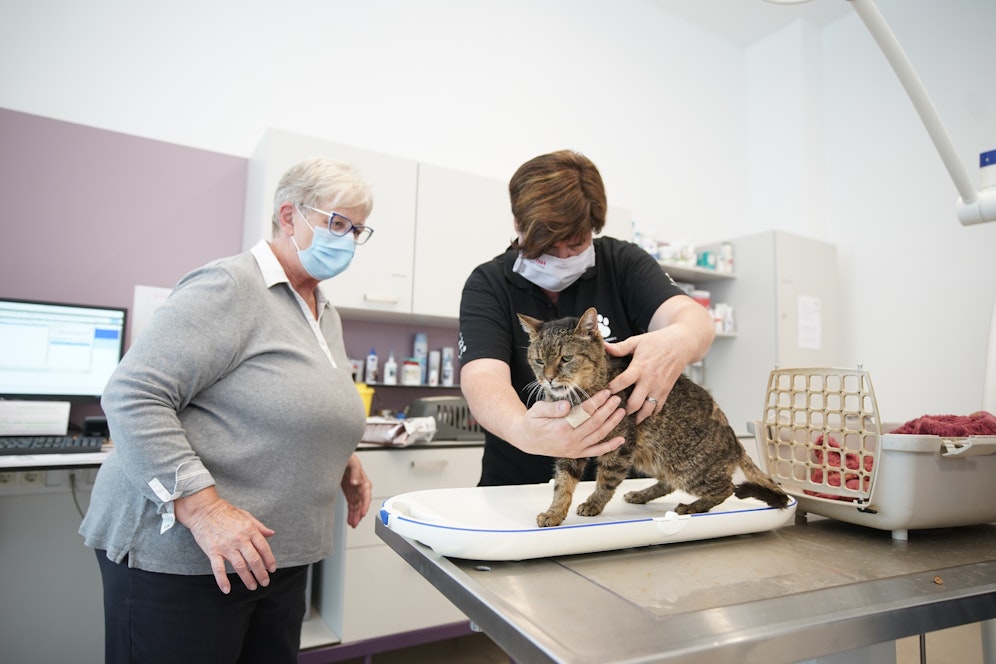 Katze Bärli (15) hat eine Futterallergie. 
