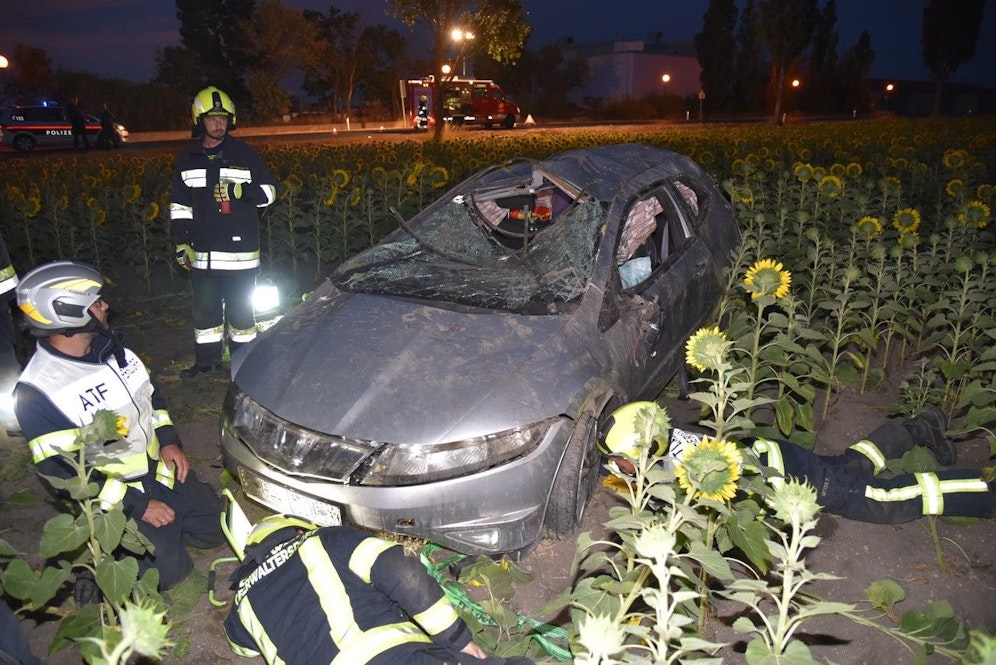 Der Pkw kam im Sonnenblumenfeld zum Stillstand.