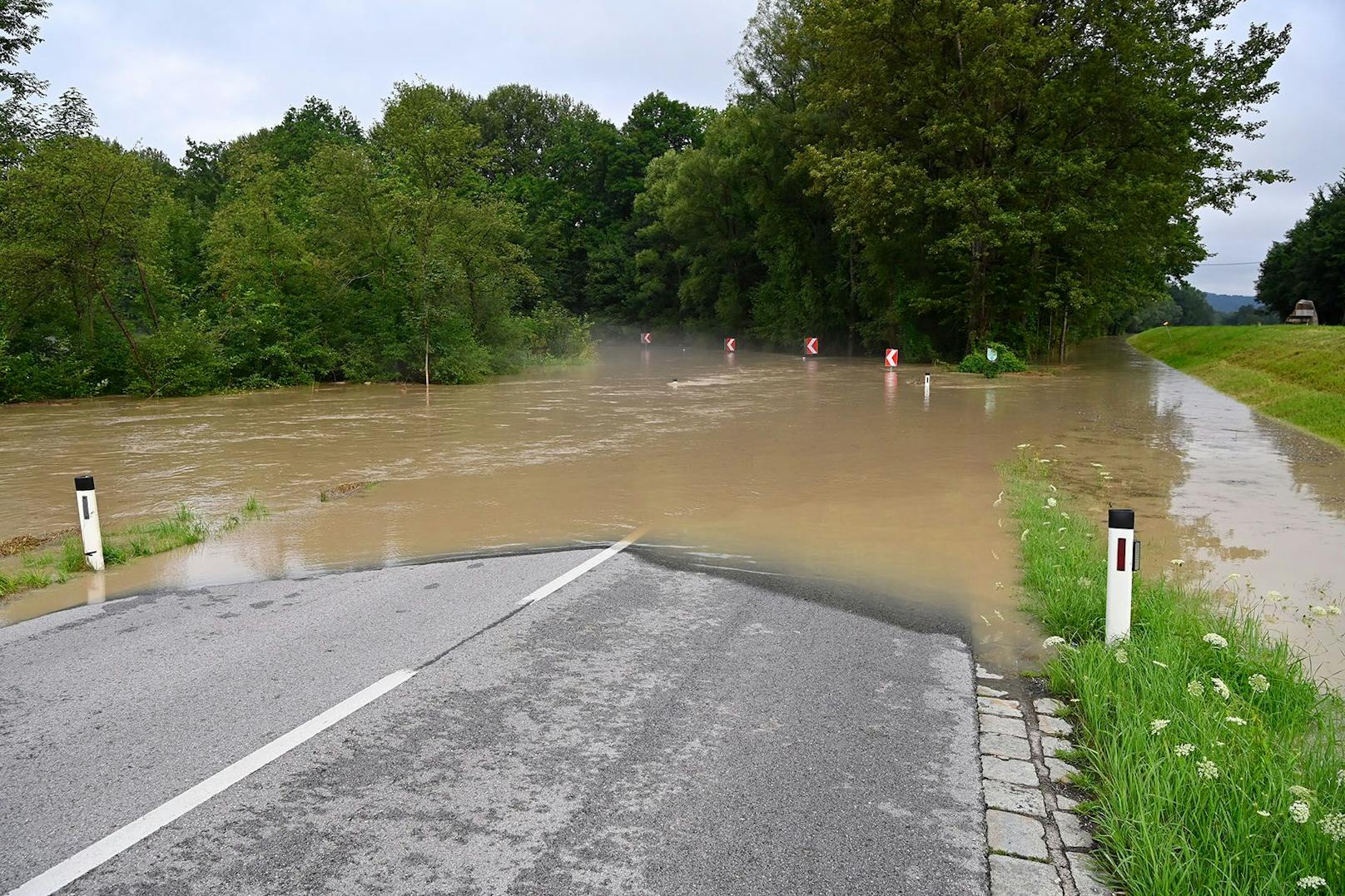 Salzach Hochwasser in Ostermiething, Ettenau
