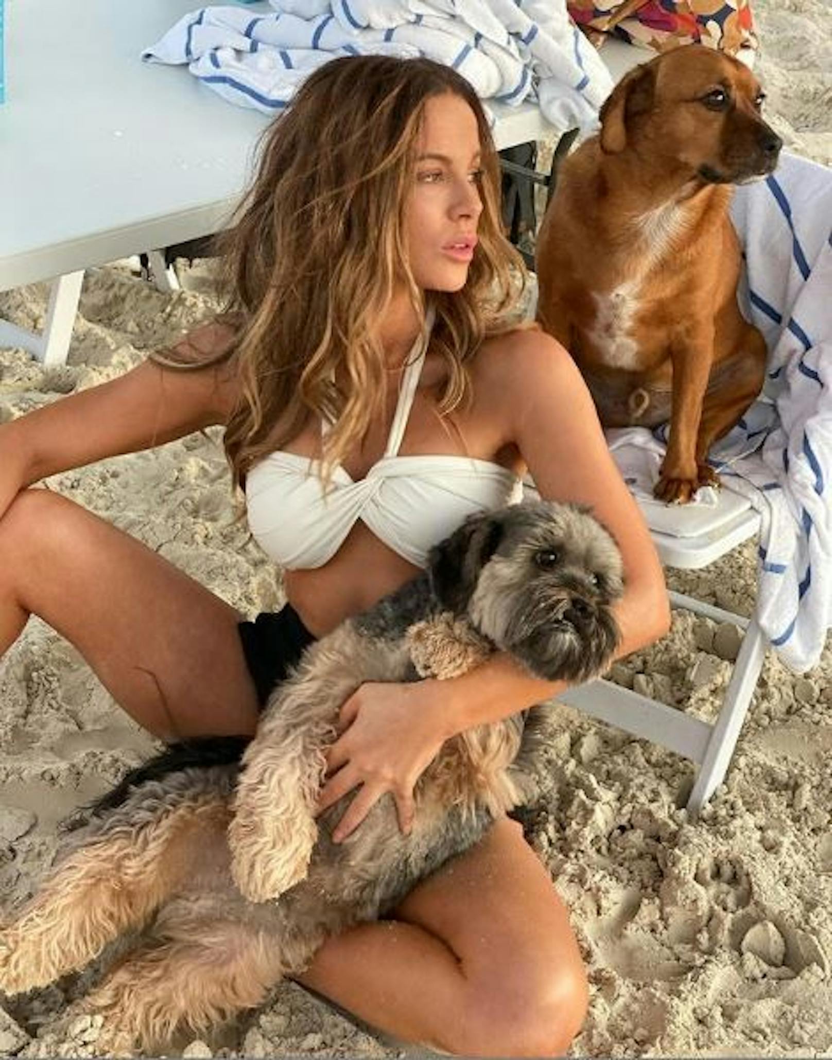 Kate Beckinsale genießt den Strandtag mit ihren beiden Hunden. Süß!