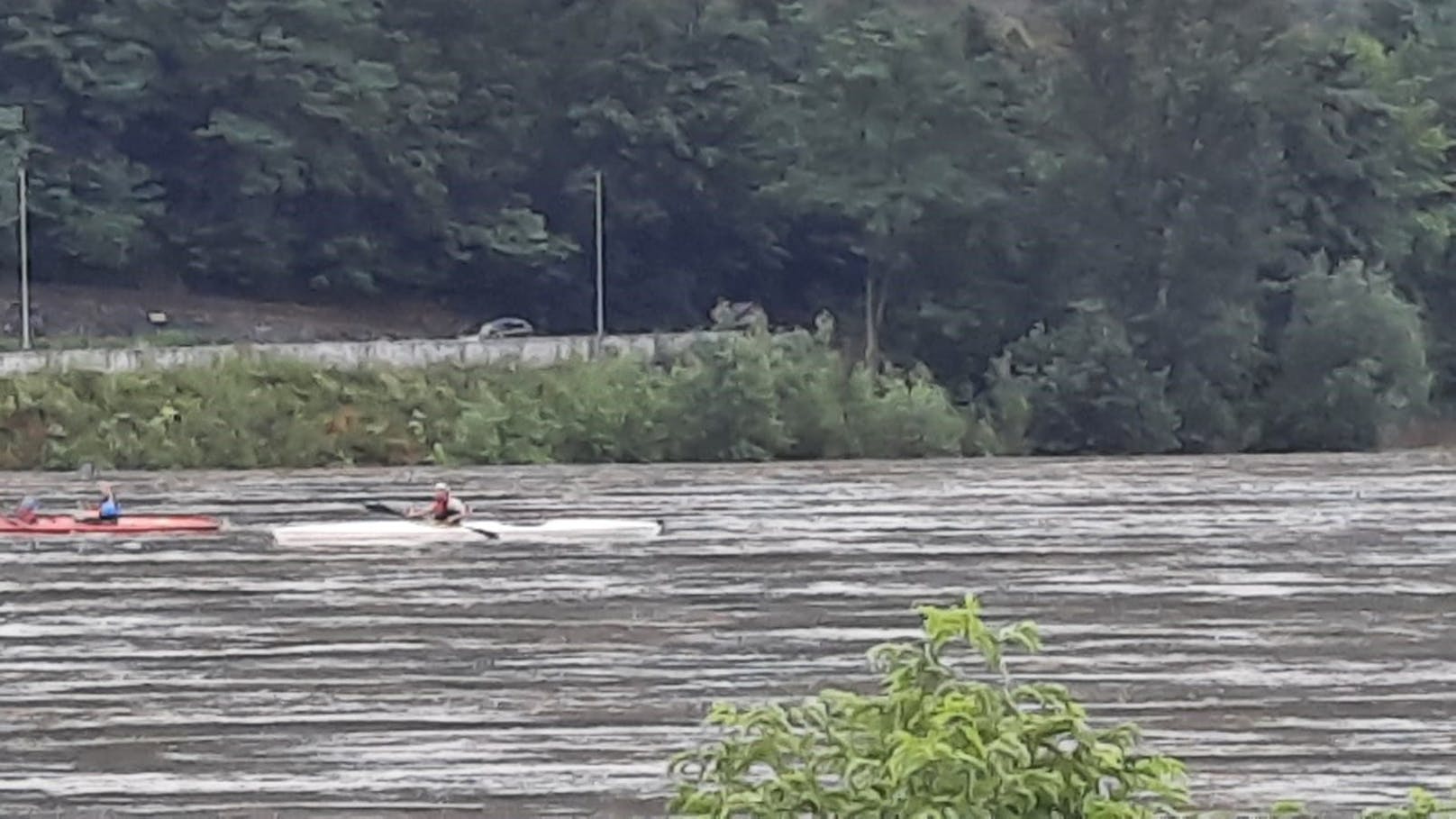Ein Paar paddelte mit ihren Kinder bei Hochwasser auf der Donau.