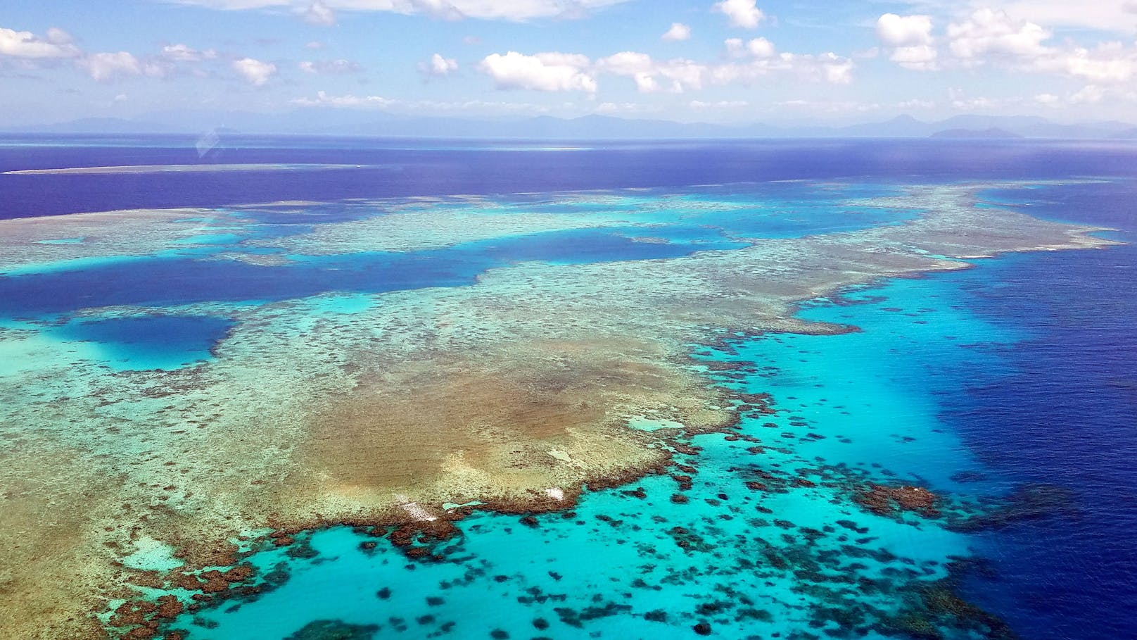 Das Great Barrier Reef ist in Gefahr