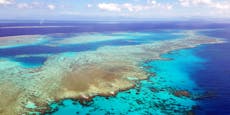 Sorge wegen neuer Korallenbleiche am Great Barrier Reef