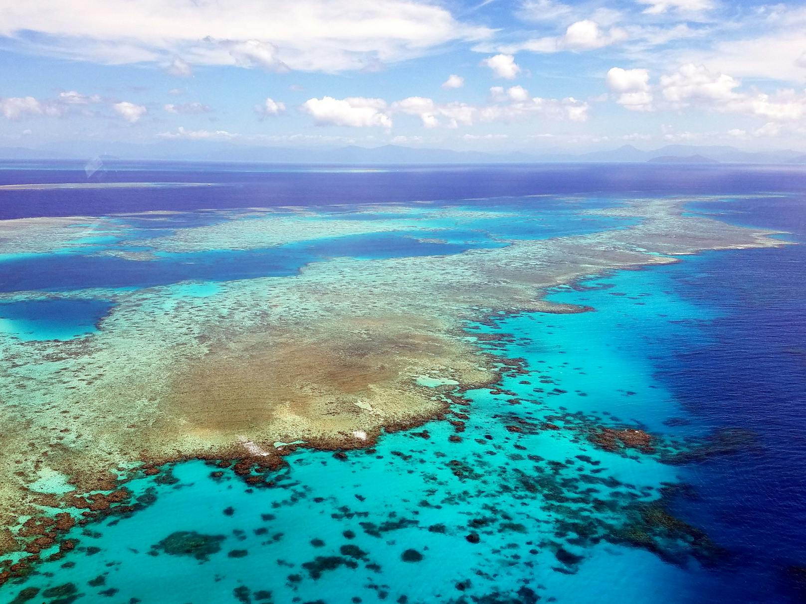Die Temperaturen rund um das Great Barrier Reef liegen Wissenschaftlern zufolge deutlich über dem März-Durchschnitt.
