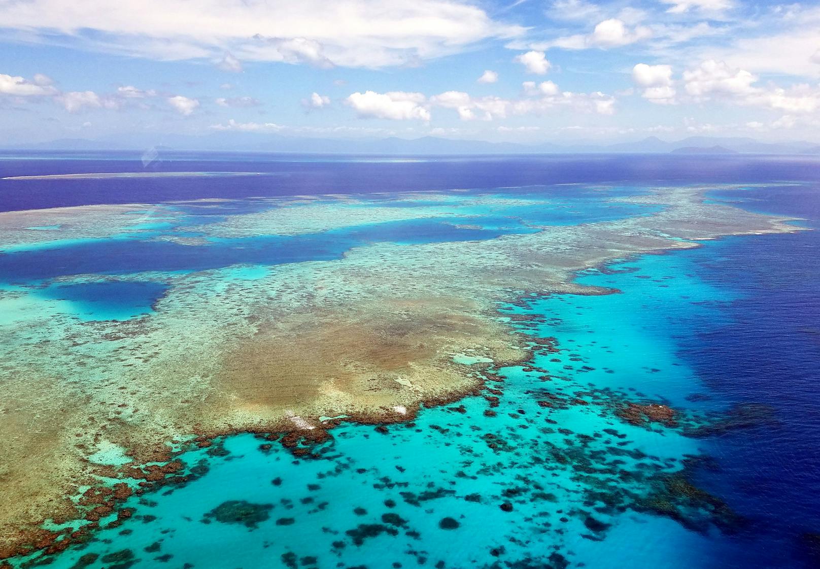 Sorge wegen neuer Korallenbleiche am Great Barrier Reef