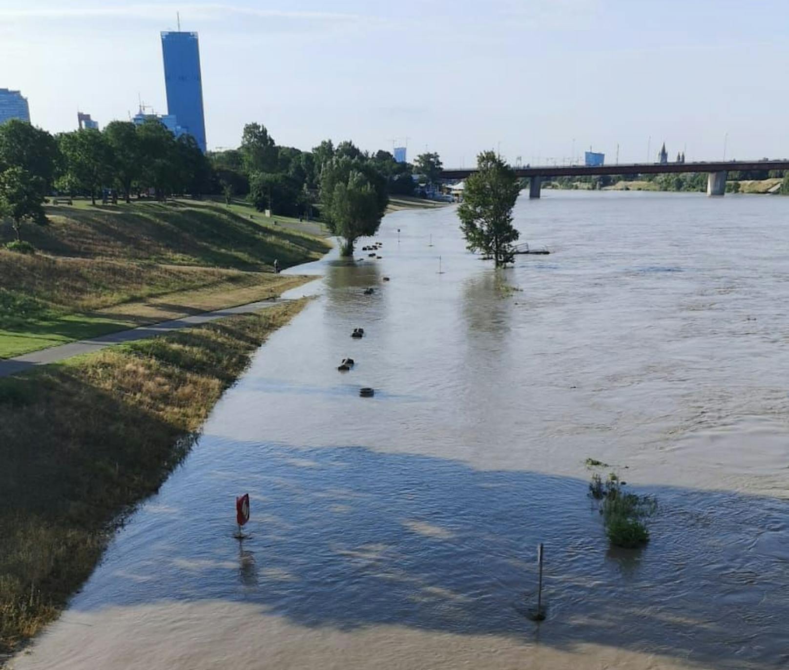 Die Neue Donau ist seit dem Hochwasser stark verschmutzt.