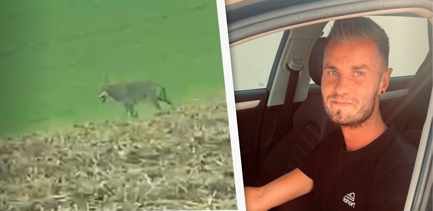 Michael Pühringer sprang in Herzogsdorf ein Wolf vor das Auto.