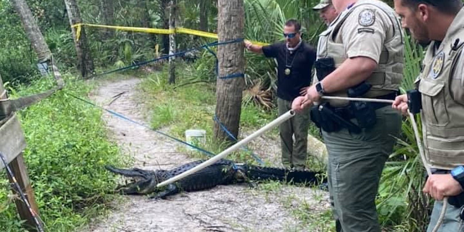 Der Radfahrer wurde nach einem Sturz im Halpatiokee Park von einem Alligator schwer verletzt.